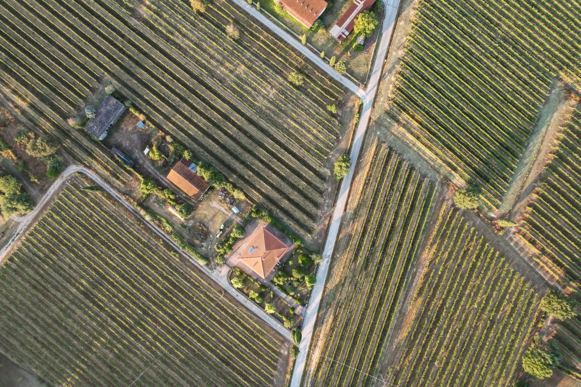 Cappannelle Country House Tuscany 菲博基堡 外观 照片