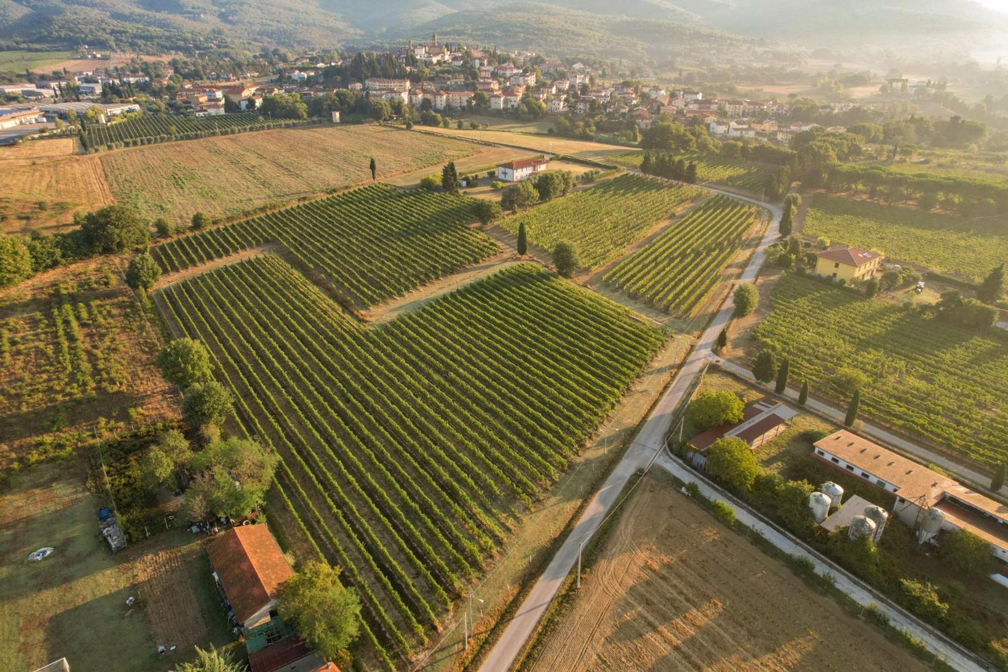Cappannelle Country House Tuscany 菲博基堡 外观 照片