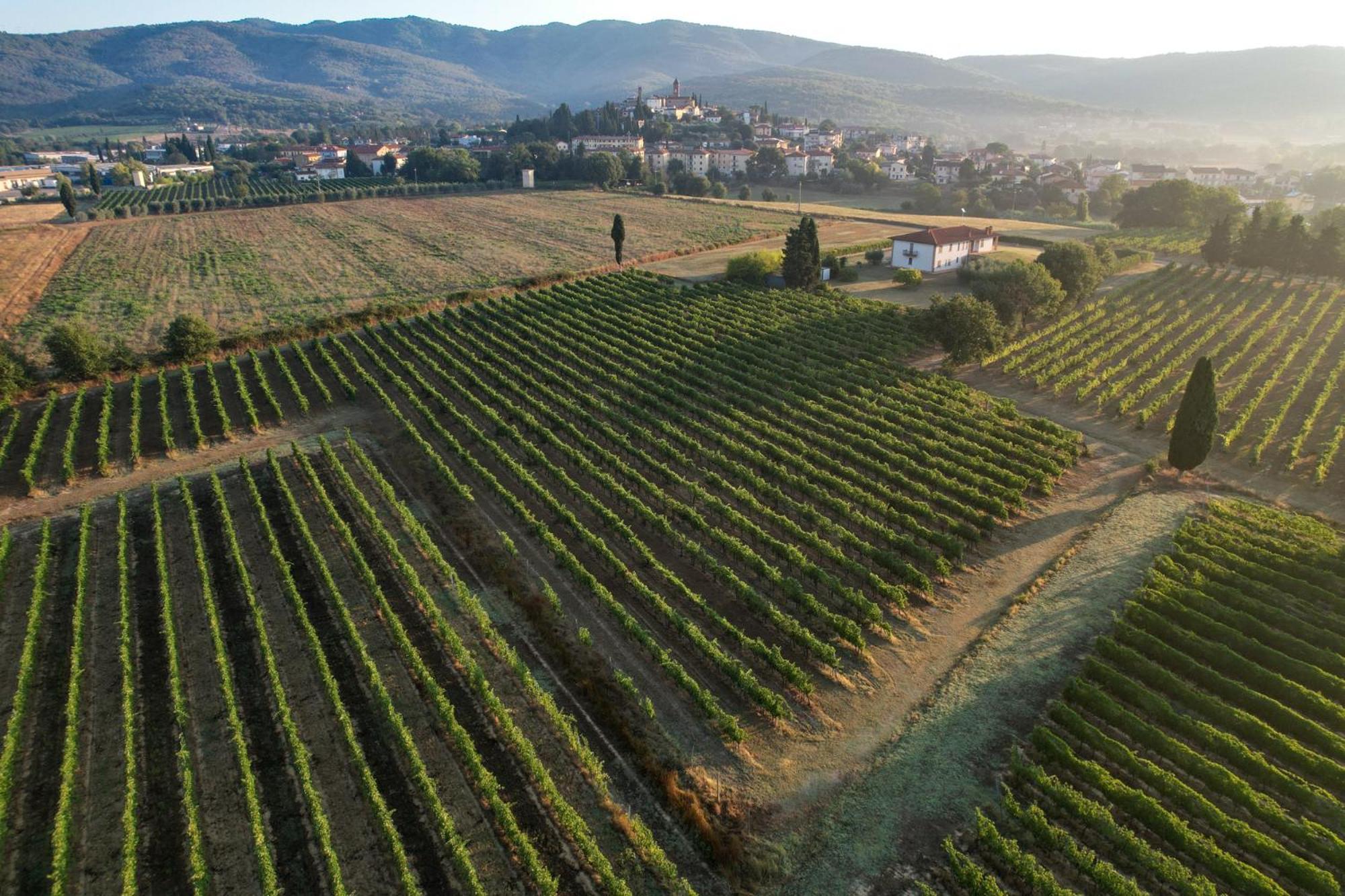 Cappannelle Country House Tuscany 菲博基堡 外观 照片