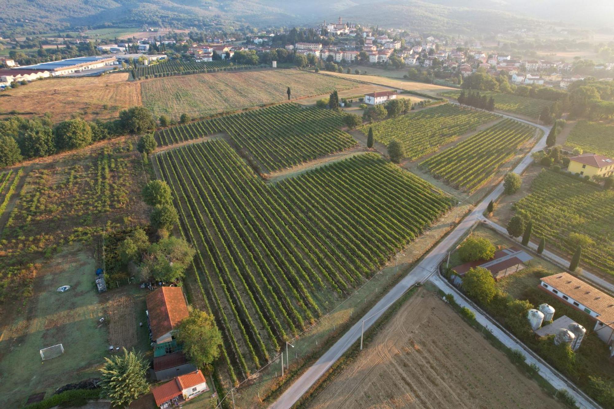 菲博基堡Cappannelle Country House Tuscany别墅 外观 照片