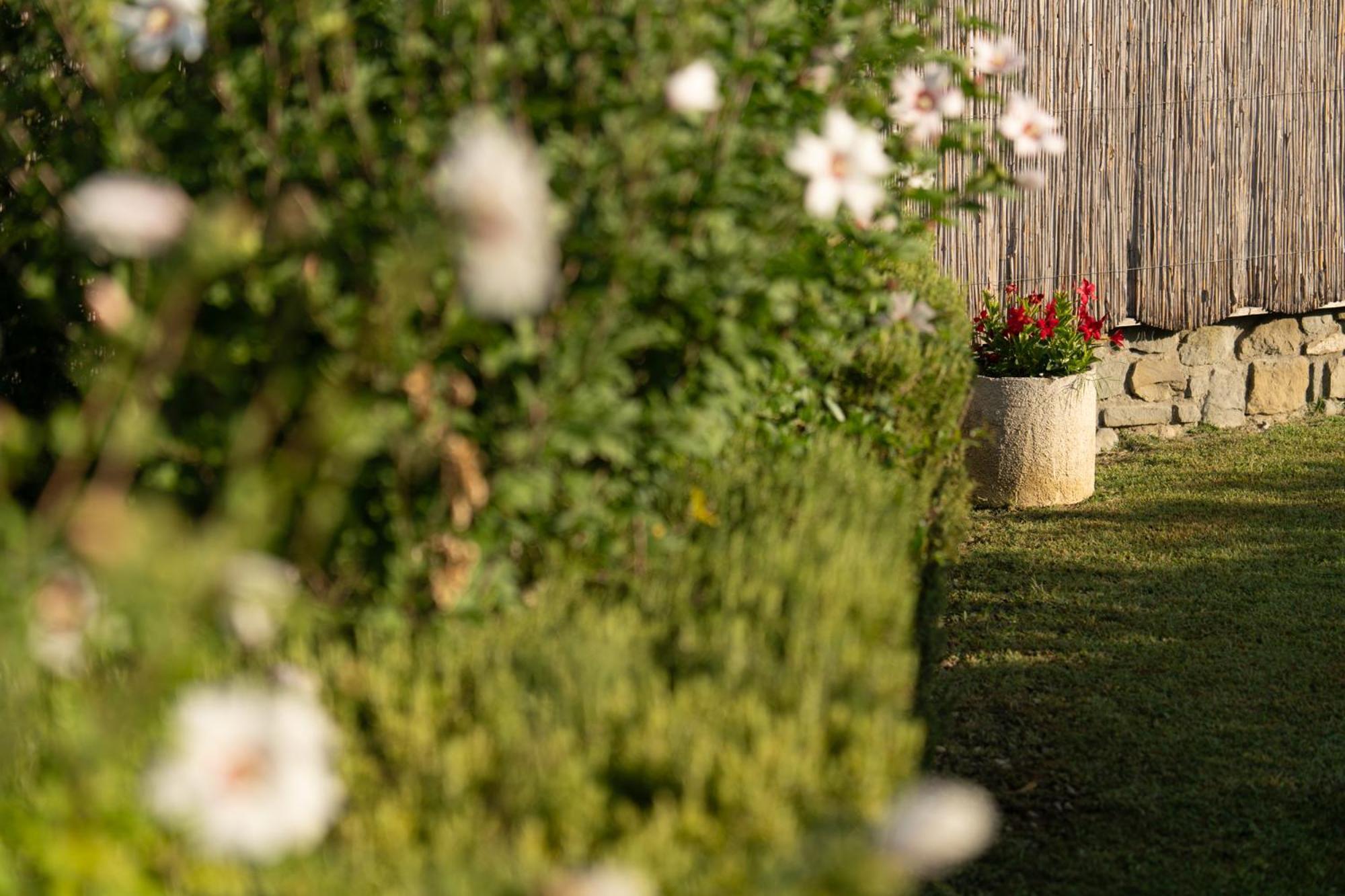 Cappannelle Country House Tuscany 菲博基堡 外观 照片